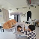 커피멍냥광교역점 이미지