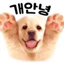 루루펫 네이버블로그