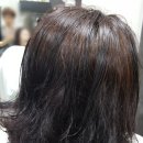 리 (Lee) 헤어 이미지