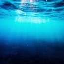 서울J플란트치과의원 이미지