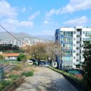 벌리한들길삼거리 | 부산 금정산 등줄기 걷기