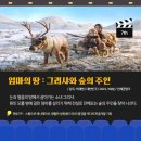 순천 애니멀 필름 페스타 이미지