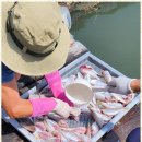 안면도바다사랑낚시 이미지