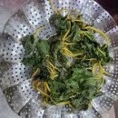 건강해봄 이미지