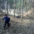 대도농장 이미지