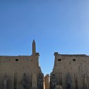 경찰묘지화장실 | 나일강 크루즈(3)