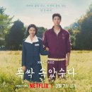 폭싹 속았수다 후기 및 리뷰(평론)