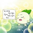 제주도 웨딩스냅 토탈샵 패키지 한지스냅 ,하이재이 계약후기