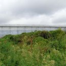 강정동-41 이미지