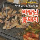 꽃돼지 | 평택 고덕 삼겹살 맛집 바람난꽃돼지 방문후기