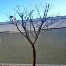 outside 이미지