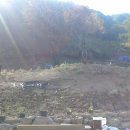 버들골농장 이미지