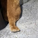 화곡4동 이미지