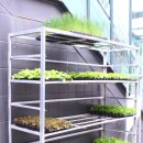 충남농약사 이미지