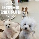 어썸멍스쿨 이미지