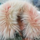 일광크리닝 이미지