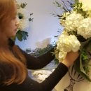 의왕대구전문 이미지