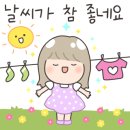 찬인테리어필름