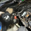 MS골드모터스 이미지