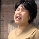 금봉경로당 Daum카페