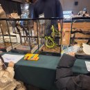 알비노랩 | 아이와가볼만한곳 일산현대백화점 몬스터퀴즈쇼(아웃사이더,생물도감,파브르2세,주노준호)