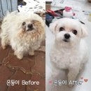 팅커벨PC 이미지