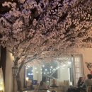 달빛식탁