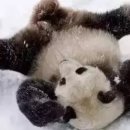 데굴데굴 이미지