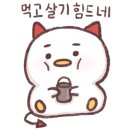 엘시스템