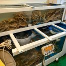 개금3동-23 | 사상맛집 주례 행복수산착한대게 (대게싯가 / 재방문 비교 후기)