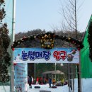 미리내 Daum카페