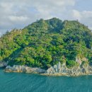 제주 삼도파초일엽 자생지 이미지