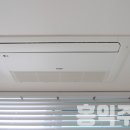 중앙블리체 이미지