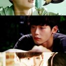 우쭈쭈 내강아지 이미지