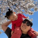 계룡산동학사자동차야영장 | [캠핑일기] 23. 공주 계룡산 동학사 자동차야영장 캠핑장 벚꽃 캠핑 (비추 후기)