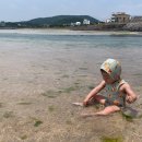 빌라배알로 이미지