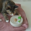 새로나약국 이미지