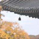하나농산물 - 중랑구 봉우재로13길 16 | 하나농산물