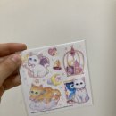 (주)인스앤 이미지