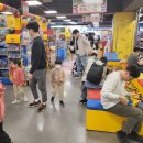 롯데마트 이미지