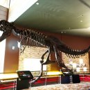 공룡박물관 이미지