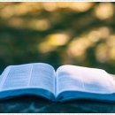 완주군립중앙도서관 | 2025-09-12.#감사일기 #말하듯쓴다 #강원국 #트랙터로터리 #완주군립중앙도서관 #새참수레