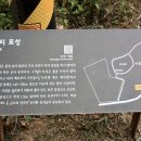 토성나루 이미지