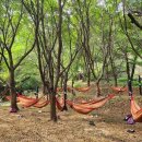 치유, 명상의 숲 이미지