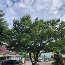 금정산성 금성 이미지