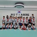 TIA 태권도 이미지