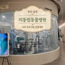 부산 동물병원 추천, 지동범동물병원 중대형견 치주염 발치 수술 후기 (비용 정보)
