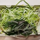 요선동 19 | [춘천 치킨 맛집] &#34;신꼬장&#34; : 데리야끼 파닭 닭강정, 배달로 즐긴지 3년째 (ft.요선동 맛집)