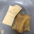 향원 티스토리