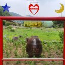 의령예술촌(실내) 이미지